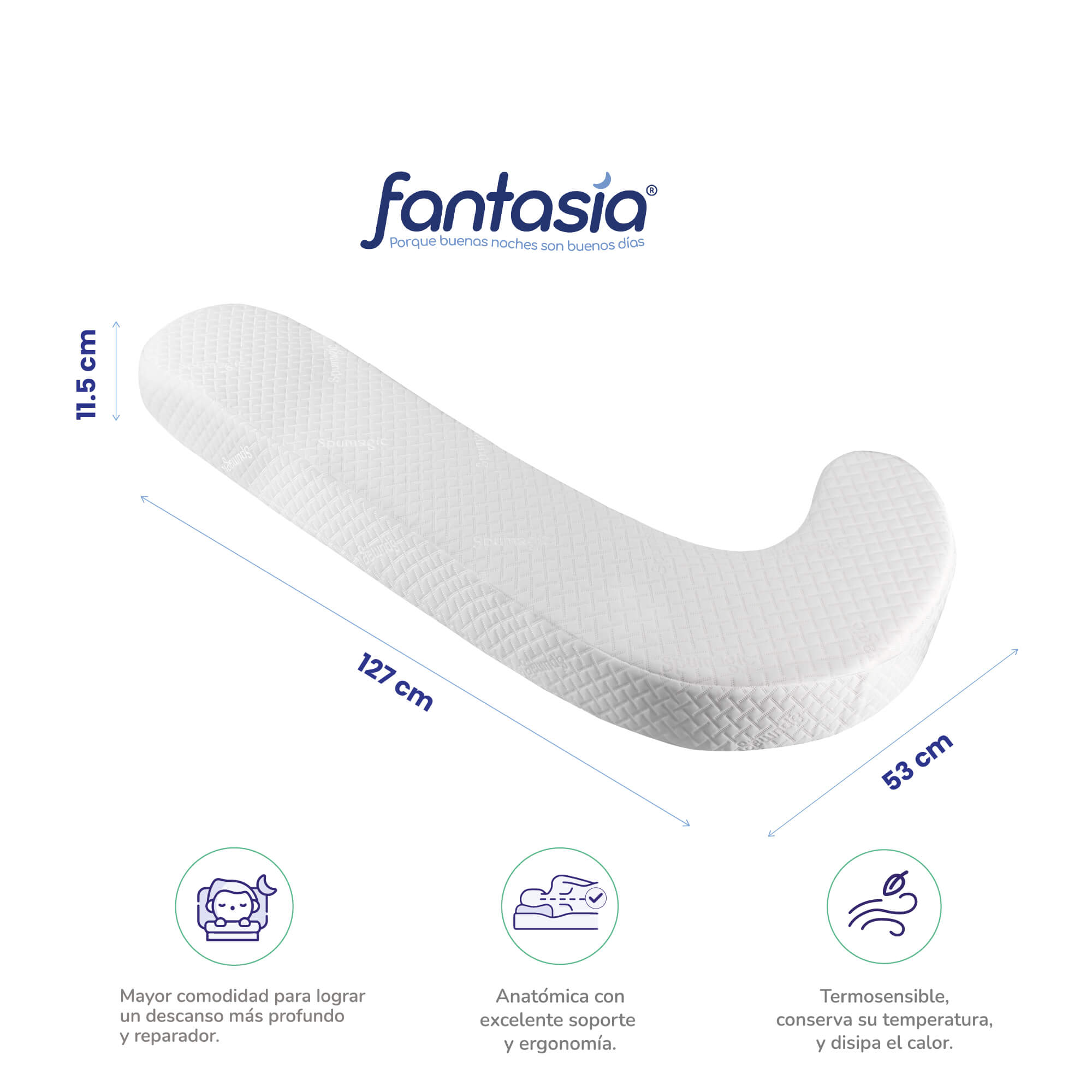 Imagen Descripcion Especifica