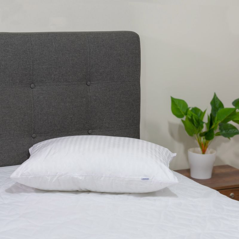 Almohada-Naturalsoft