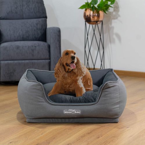 Cama Comfy Luxu 75x62