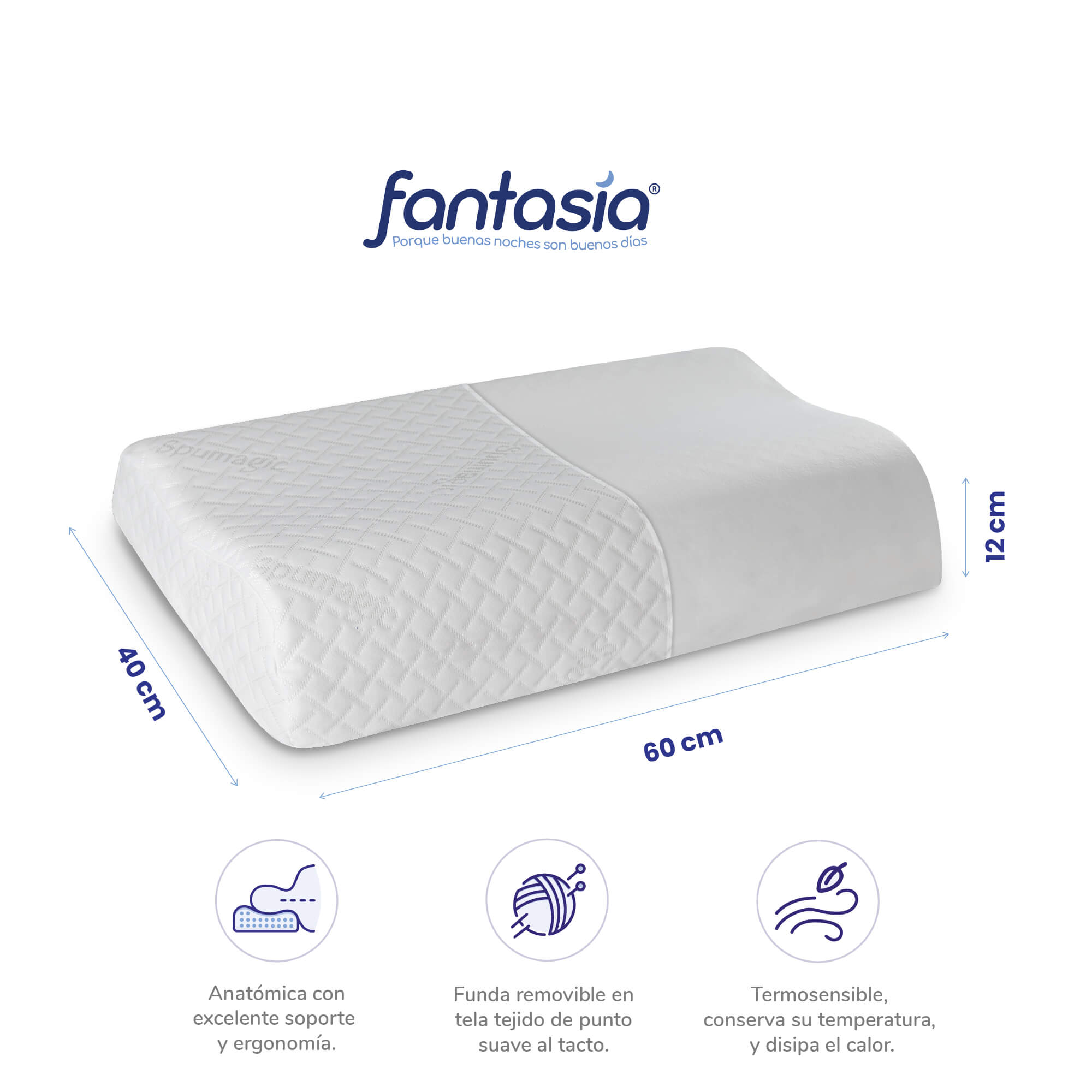 Imagen Descripcion Especifica