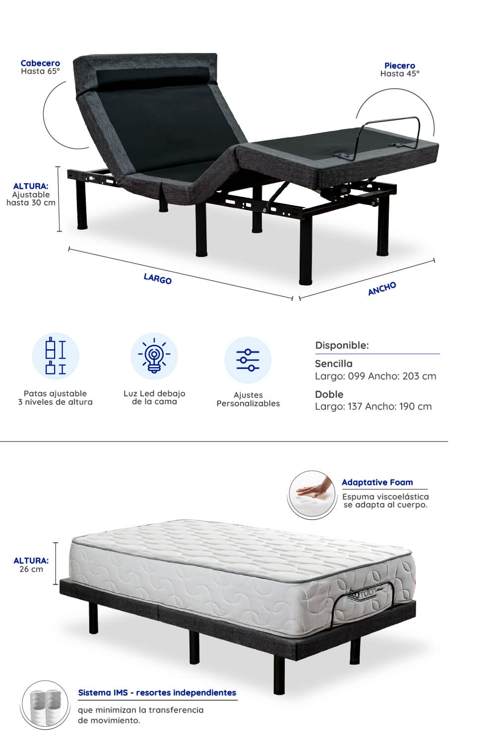 Imagen Descripcion Especifica