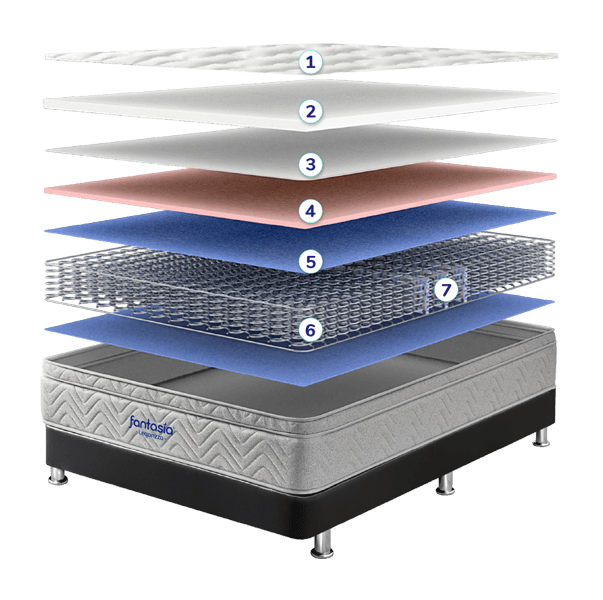 Imagen Descripcion Especifica